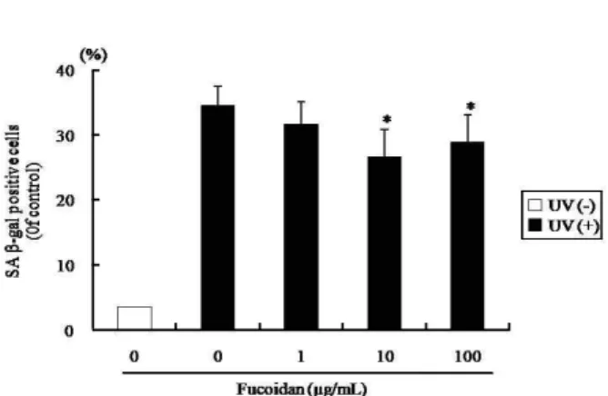 Fig. 4. Effect of fucoidan on β-galatosidase activity in human skin fibroblasts. The cells were pretreated with fucoidan (0, 1, 10, and 100 μg/ml) prior to UVB irradiation (100 mJ/cm 2 ), and were stained as described in materials and methods