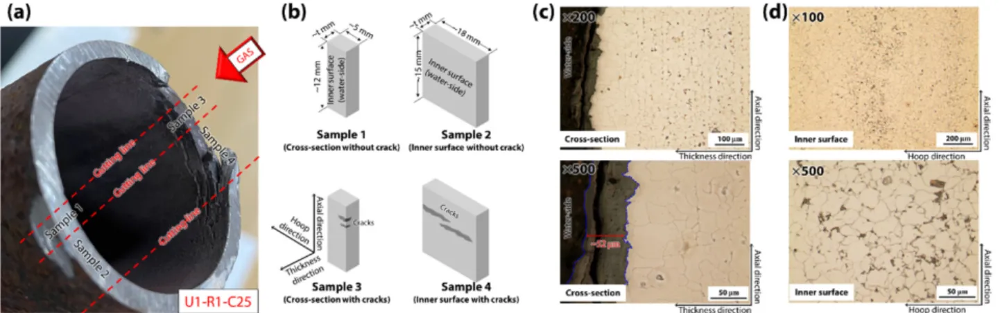 Fig. 3. (a) Sampling for the analysis of U1-R1-C25 tube, (b) Geometry of each sample, (c) Cross-section view showing the oxide layers in the sample 1, and (d) Microstructure of the sample 2