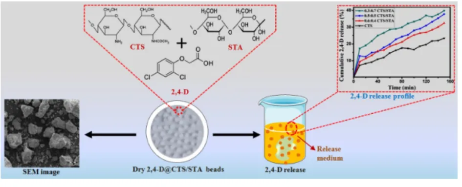 Illustration  in  preparation  procedure  of  TiO 2 -Tcpp  nano-composite  with  Lac  molecules integration  via  synergy of covalent coupling and adjacent ligation as well  as  impact  of  mutual  interactions  between  element  of  nano-complex  and  Lac
