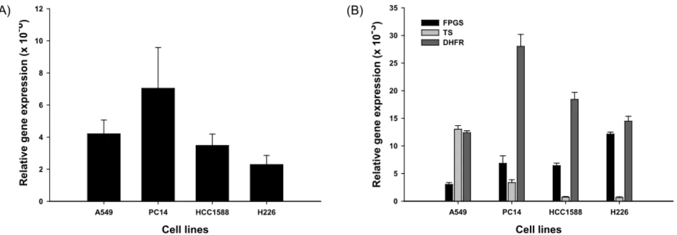Fig. 1. Expression level of the RFC, FPGS, TS and DHFR mRNA transcripts period The expression of (A) RFC and (B) FPGS, TS, and DHFR in four cell lines