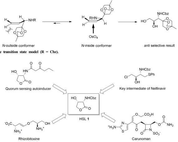 Figure  1.  Probable  transition  state  model  (R  =  Cbz).
