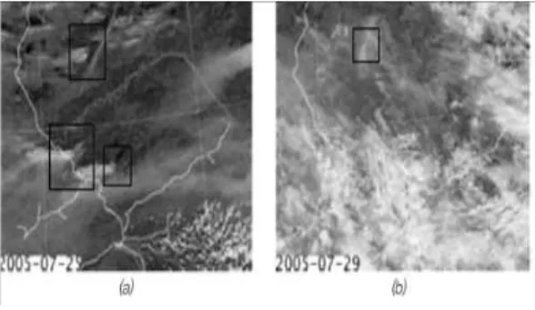 Fig. 2. Detection of forest fire by satellite. (a) Forest fires detected on a clear day
