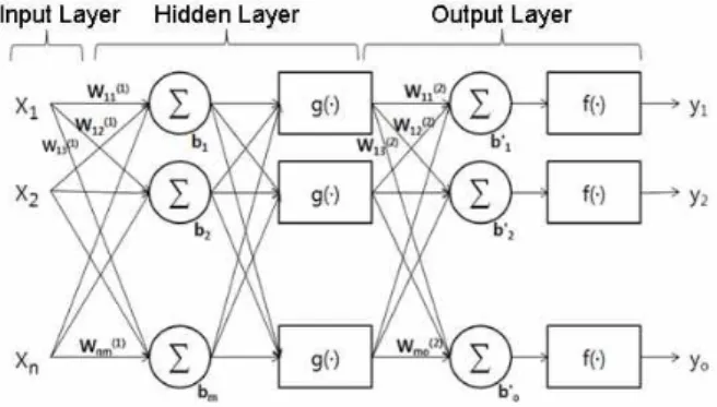Fig. 1. Structure of neural networks