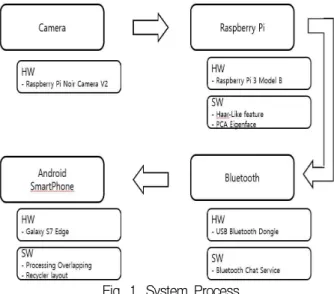 Fig. 1. System Process