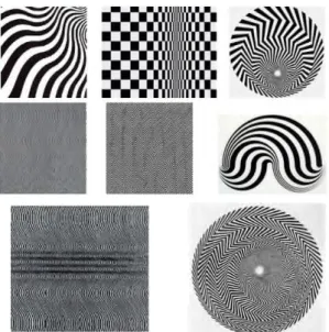 Fig. 5 Bridget Riley