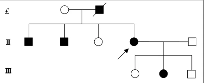 Fig. 1. Family pedigree of the patient. 