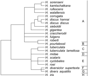 Fig. 3. A phylogenetic tree for Haliotis based on ITS analysis.