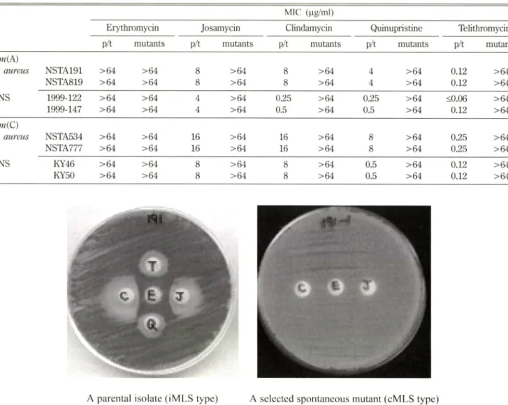 Table  II - The  characters  of  parental  isolates  and  their  mutants