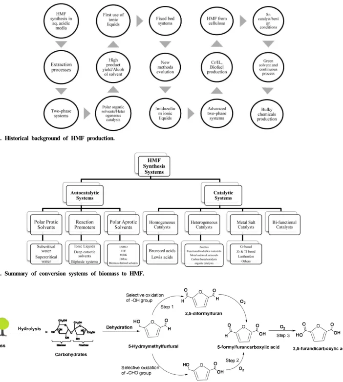 Figure  3.  Summary  of  conversion  systems  of  biomass  to  HMF.