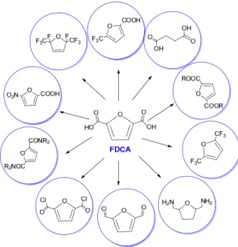 Figure 5. Derivatives of FDCA.