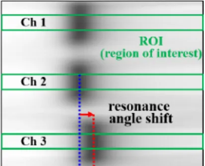 Figure 1. Schematic diagram of the SPR sensor system with the  bimetallic chip configuration.