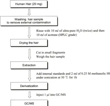Fig.  1  - Preparation procedures of hair sample for the analysis of AP  and  MA.