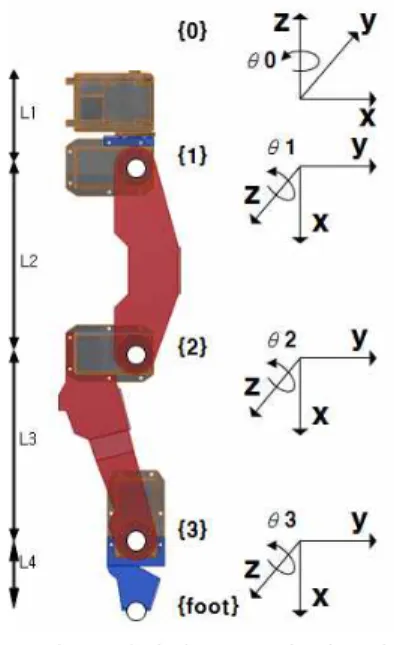 Fig. 2. Configuration of legs and coordinates system