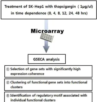 Fig. 1. Study procedure.