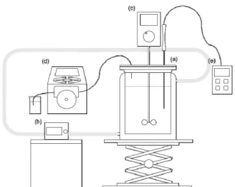 Figure 1. Experimental setup of a drowning out/agglomeration process : (a) double-jacketed crystallizer, (b) thermostat, (c) mechanical stirrer,  (d) syringe pump, (e) thermocouple.