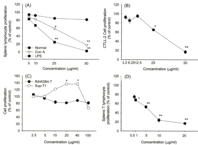 Fig.  2 - Effect of silybin on splenic lymphocyte and CD 8 +  CTLL-2 cell proliferation