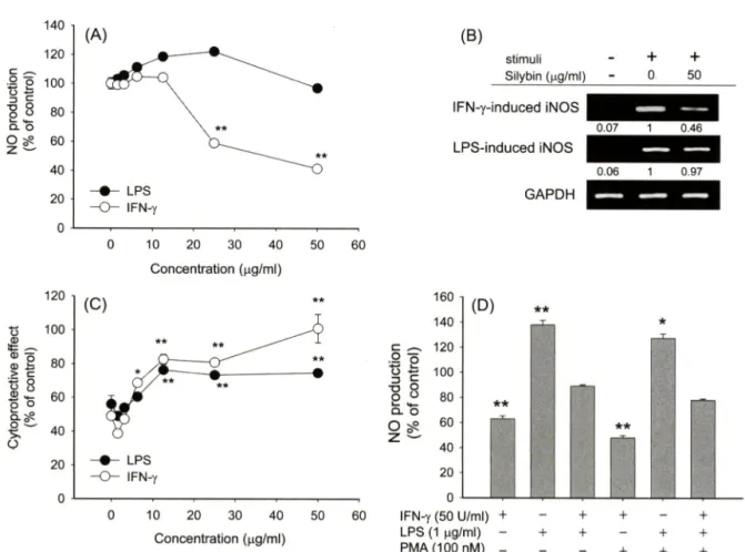 Fig.  4 - Effect of silybin on the production of NO in LPS-activated RAW264.7 cells. (A) RAW264.7 cells (2 x 10^ cells/m/) were incubated with  various concentrations of silybin in the presence or absence of LPS (1  나 g/m/) for 24 h
