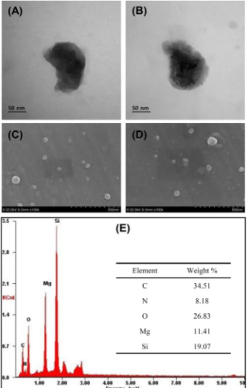 Figure 3. Transmission electron microscopy (TEM) and scanning  electron microscopy (SEM) images of (A), (C) MgP and (B), (D)  PLE/MgP, respectively