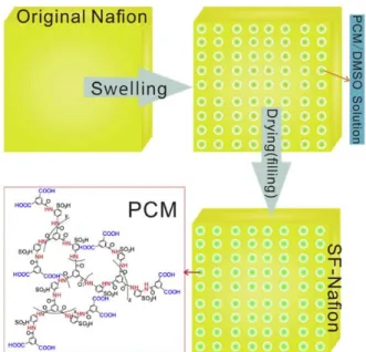 Figure 5. Schematic diagram of in-situ nano scale SF strategy  (Reproduced with permission from Elsevier)[40].