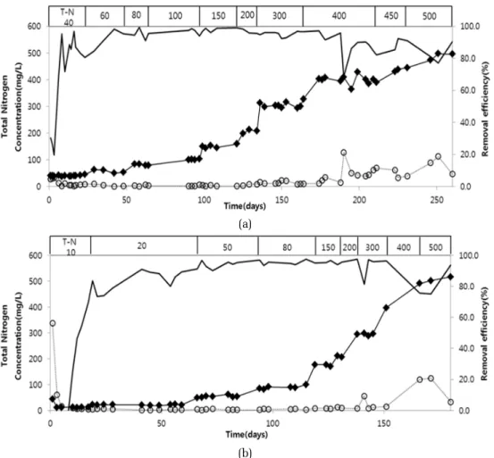 Fig. 2.  Variation of total nitrogen concentration and removal efficiency in the continuous granular ANAMMOX reactor, R-1