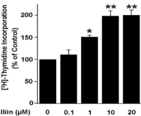 Fig. 1. Alliin increases [ 3 H]-Thymidine incorporation. BAECs were serum-starved for 24 hr and treated with none or various concentration of alliin