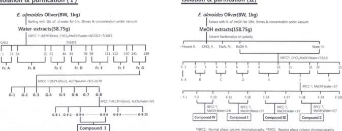 Fig. 1. The isolation procedures of effective substances from water extracts (Ⅰ) and methanol extracts (Ⅱ) in Eucommia ulmoides Oliver.