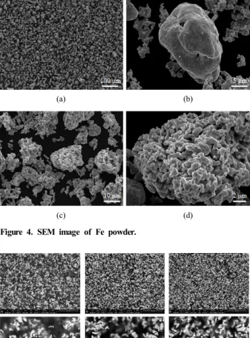 Figure 4. SEM image of Fe powder.