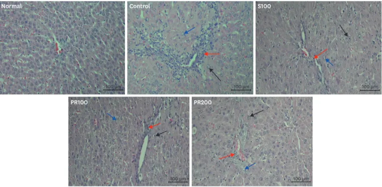 Fig. 6.  Histopathological analysis. 