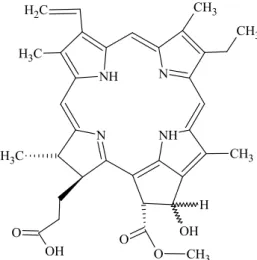 Fig. 1. Chemical structures of 9-Hydroxypheophorbide-a (9- (9-HpbD-a). molecular formula; C 35 H 38 N 4 O 5 , molecular weight: 617.2764.