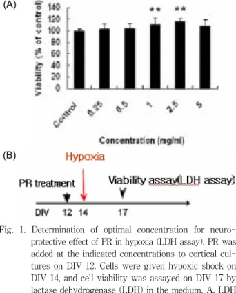 Fig.  1.  Determination  of  optimal  concentration  for  neuro- neuro-protective  effect  of  PR  in  hypoxia  (LDH  assay)