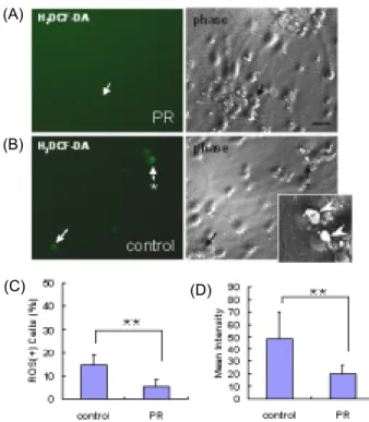 Fig.  10.  Effects  of  PR  against  ROS  and  RNS  generation  (5  days  after  hypoxic  shock)