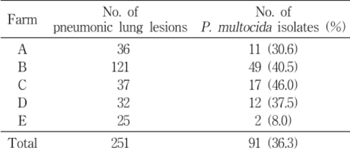 Table  1.  Prevalence  of  P.  multocida  isolated  from  pneumonic  lung  lesions  of  swine