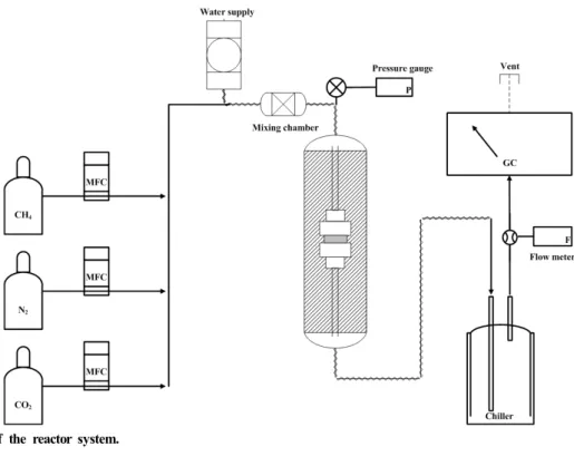 Figure 1. Schematic of the reactor system.