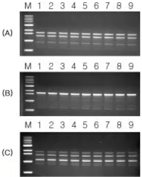 Fig.  1.  Sequence  alignment  of  the  atpD  region  of  X.  arboricola  pv.  pruni  strain  LMG852  and  strain  CFBP6653