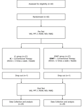 Fig 1. CONSORT flow chart