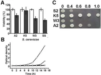 Fig. 1. Cell viability and growth rate of S. cerevisiae KNU 5377 and three reference strains