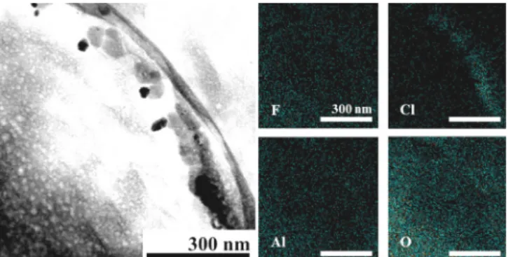 Figure 3에서 확인할 수 있듯이 APPJ  처리 후 [F - ]는 23 ppm으로 검출 되었다.  검출된 [F - ]는 Ca(OH) 2   수용액을 분사했을 때의 [F - ]와 유사함 을 확인할 수 있었다 