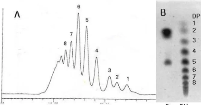 Fig. 2. Chromatograms of dextran hydrolysates analyzed by HPLC (A ) and TLC (B). The num bers indicate the  oli-godextans ranged from DP 1 to 8