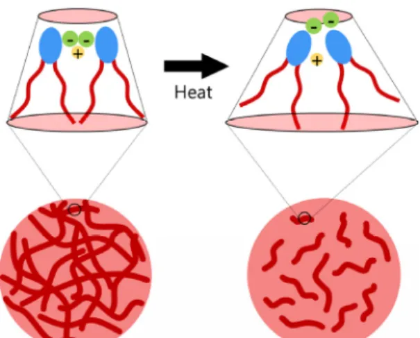 Figure 4. Schematic illustrations of structural changes in reverse  cylindrical micelles with lecithin/CaCl 2  as a function of temperature