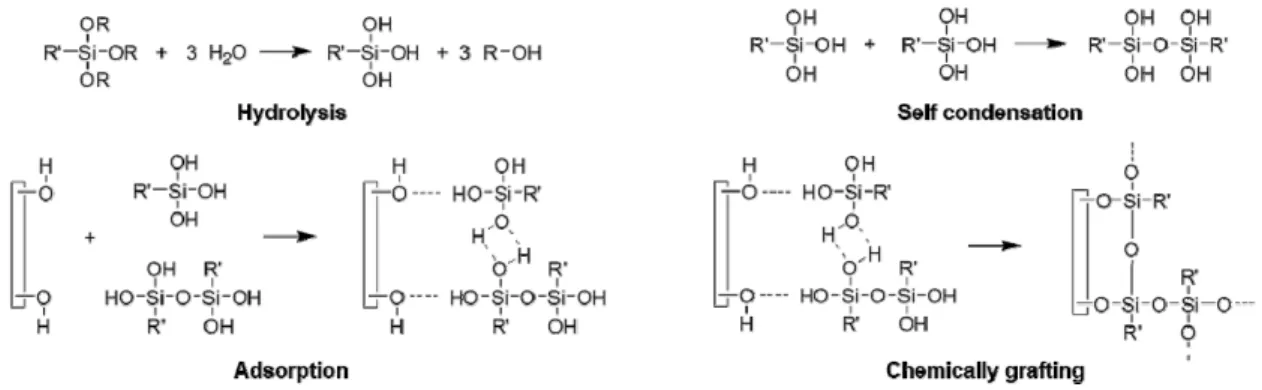 Table 1. Chemical Structure of Silane Coupling Agents