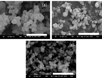 Figure 4. Nitrogen adsorption isotherms on (a) MSPEL15, (b)  MSPEC20 and (c) MSPEN12.