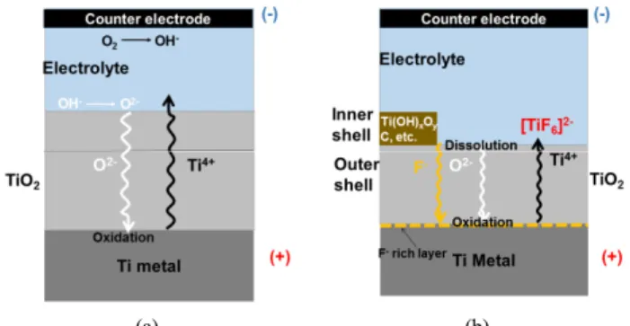 Figure 2. (a)-(b) Schematic diagrams showing growth of oxide by  field aided transport of mobile ions through the oxide layers in the  absence and presence of fluoride ions: fluoride migration leads to  accumulation at the metal/oxide interface.