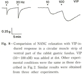 Fig.  8  —Comparision  of  NANC  relaxation  with  VIP-in­