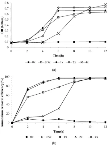 Figure 4. Characteristic of Klebsiella pneumoniae according to  concentration of basal medium at 37 ℃ under 100 mg-N/L of initial  ammonium solution : (a) growth curve, (b) removal efficiency.