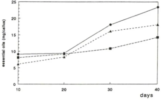 Fig.  3 —Effects  of  illumination  on  production  of  essen­