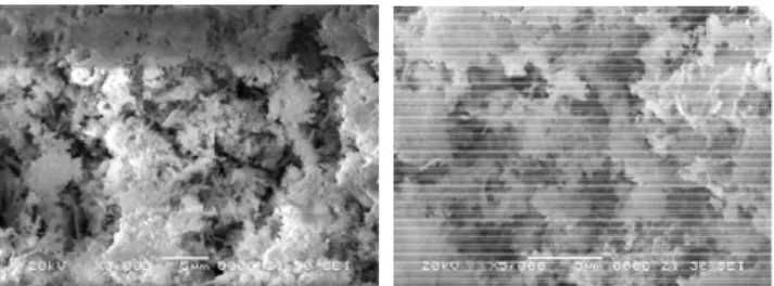 Figure 2. SEM morphology of the Bi 2 WO 6 -GO-TiO 2  composite.