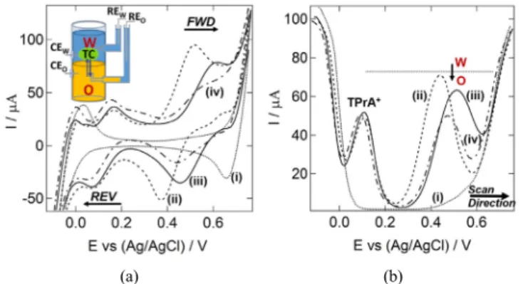 Figure 1. A series of (a) cyclic and (b) differential pulse  voltammograms for the transfer of ionizable TC species across a  polarized water/1,2-DCE interface
