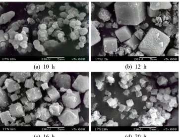 Figure 6. SEM images of synthetic products according to hydrothermal  reaction time. 