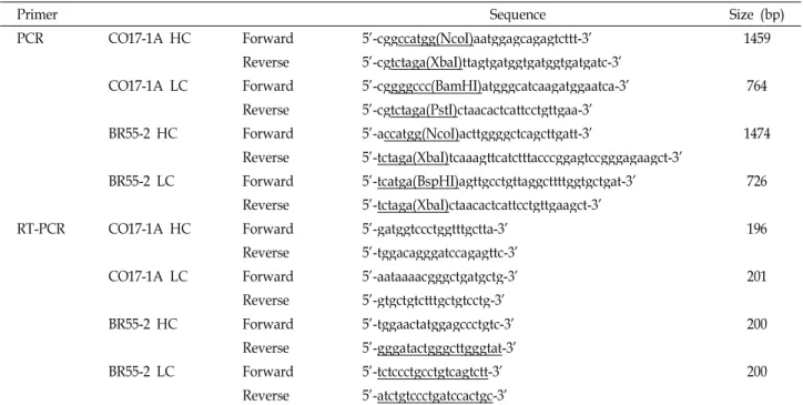 Table 1. The specific primer sequence for amplification of mAb CO17-1A and mAb BR55 genes