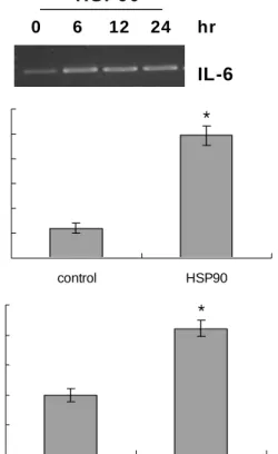 Fig.  1.  The  effects  of  HSP90  on  IL-6  expression.  (A)  Up-regu- Up-regu-lation  of  IL-6  mRNA  by  HSP90